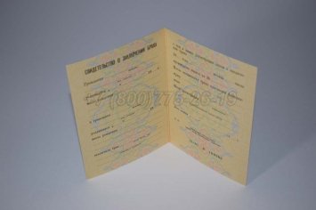 Свидетельство о Браке 1983г РСФСР в Брянске