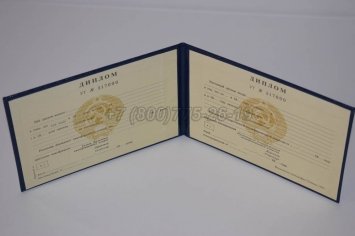 Диплом Техникума Украинской ССР в Брянске