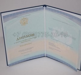 Диплом Техникума 2022г СпецБланк в Брянске
