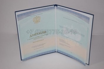 Диплом Техникума 2022г СпецБланк в Брянске