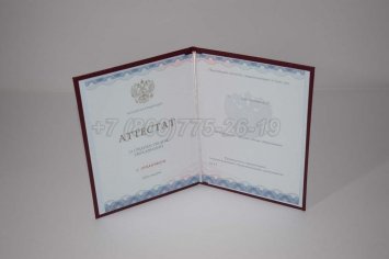 Аттестат За 11 Класс 2022г Золото ГОЗНАК в Брянске