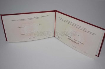 Диплом Кандидата Наук 2017г в Брянске