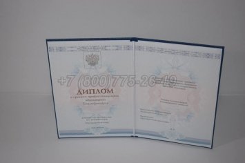 Диплом Техникума 2018г ГОЗНАК в Брянске