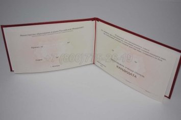 Диплом Кандидата Наук 2022г в Брянске