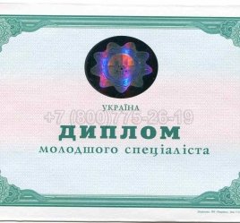 Диплом Техникума Украины 2013г в Брянске