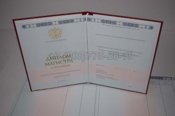 Красный Диплом Магистра 2023г в Брянске