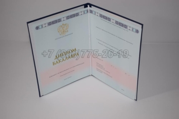 Диплом Бакалавра 2025г ГОЗНАК в Брянске