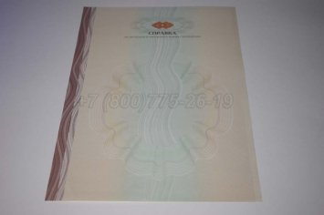 Академическая Справка ВУЗа 2016г в Брянске