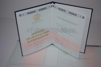 Диплом Аспирантуры 2024г в Брянске