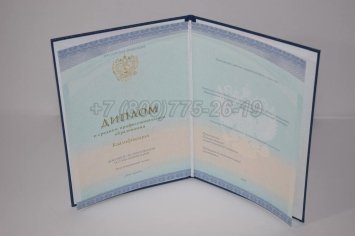 Диплом Колледжа 2023г СпецБланк в Брянске