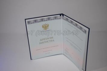 Диплом Магистра 2025г ООО "Знак" в Брянске