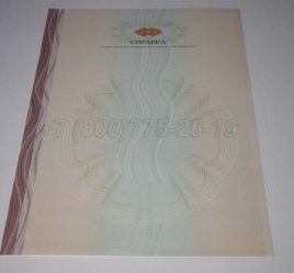 Академическая Справка ВУЗа 2020г в Брянске