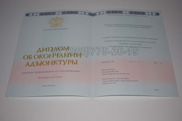 Диплом Адъюнктуры 2025г в Брянске