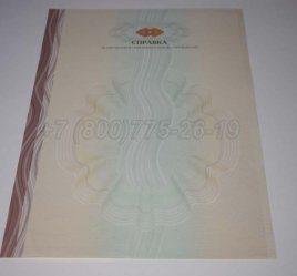 Академическая Справка ВУЗа 2023г в Брянске