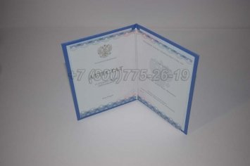 Аттестат За 11 Класс 2022г ГОЗНАК в Брянске