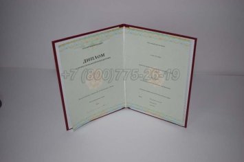 Диплом о Переподготовке 2023г СпецБланк в Брянске