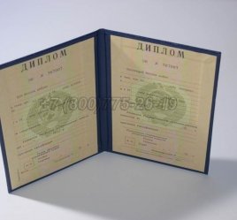 Диплом о Высшем Образовании Украинской ССР в Брянске